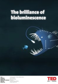 Bioluminesence - Veronica Wallenberg