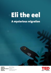 Eels - Veronica Wallenberg